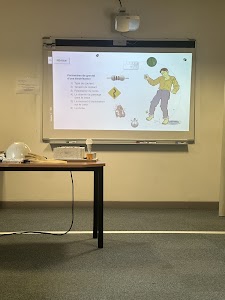 NEOMIS Conseil & Formation place picture